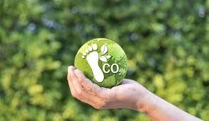 How Small Businesses can reduce their Carbon Footprint?