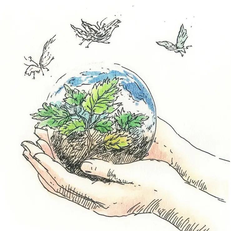 Positive environmental news of 2025-