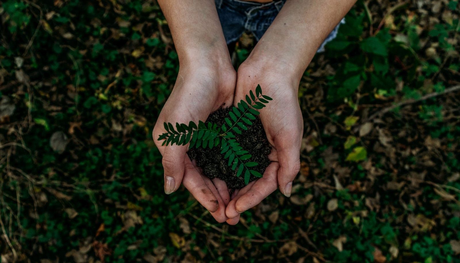 Zero waste birthday gifts