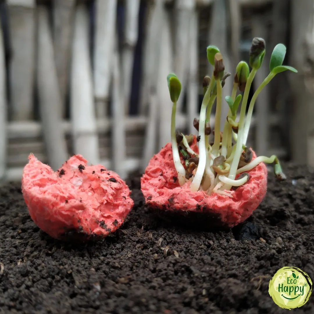 Seed Balls - Set of 10 balls, Kits & Seeds, made in Pune by Eco Happy