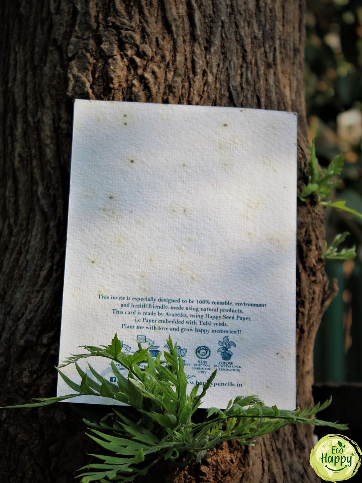 Seed Paper A4 Size - Set Of 4, Kits & Seeds, made in Pune by Eco Happy