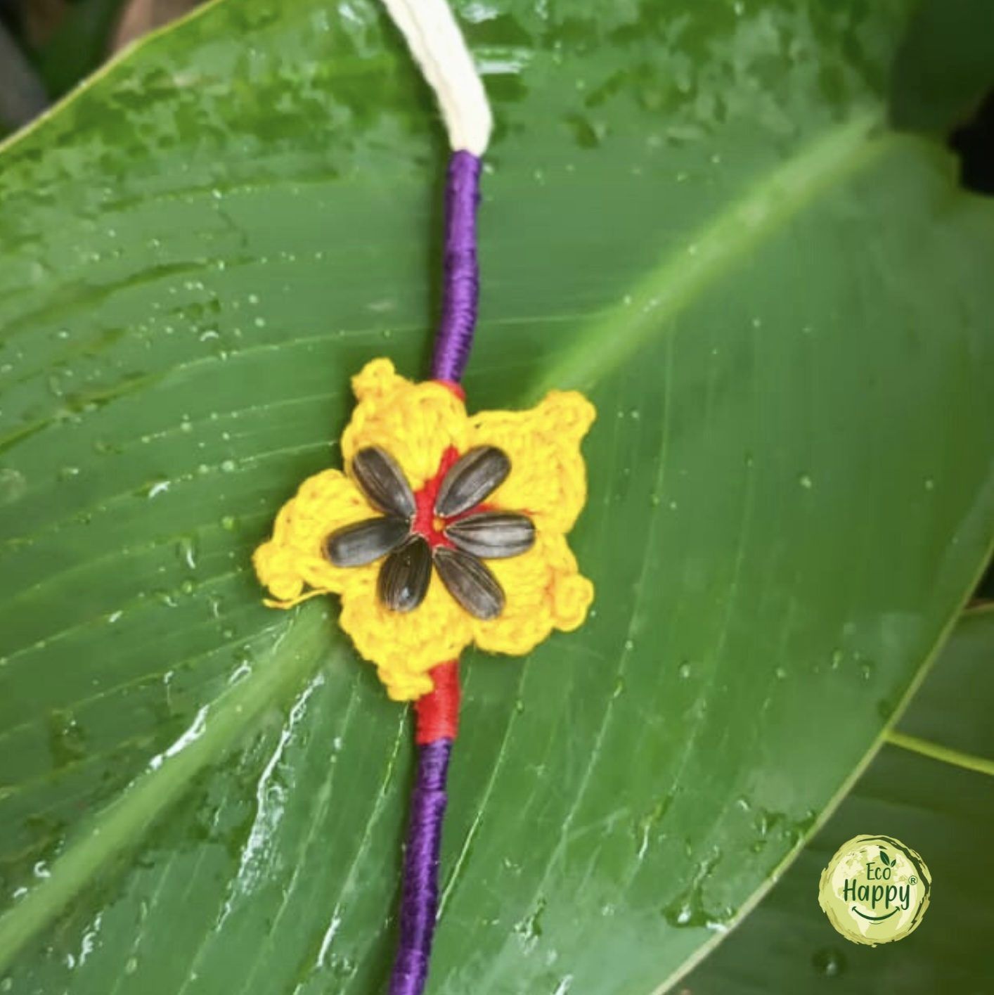 Sunflower Seed Rakhi, Festive & Seasonal, made in Pune by Eco Happy